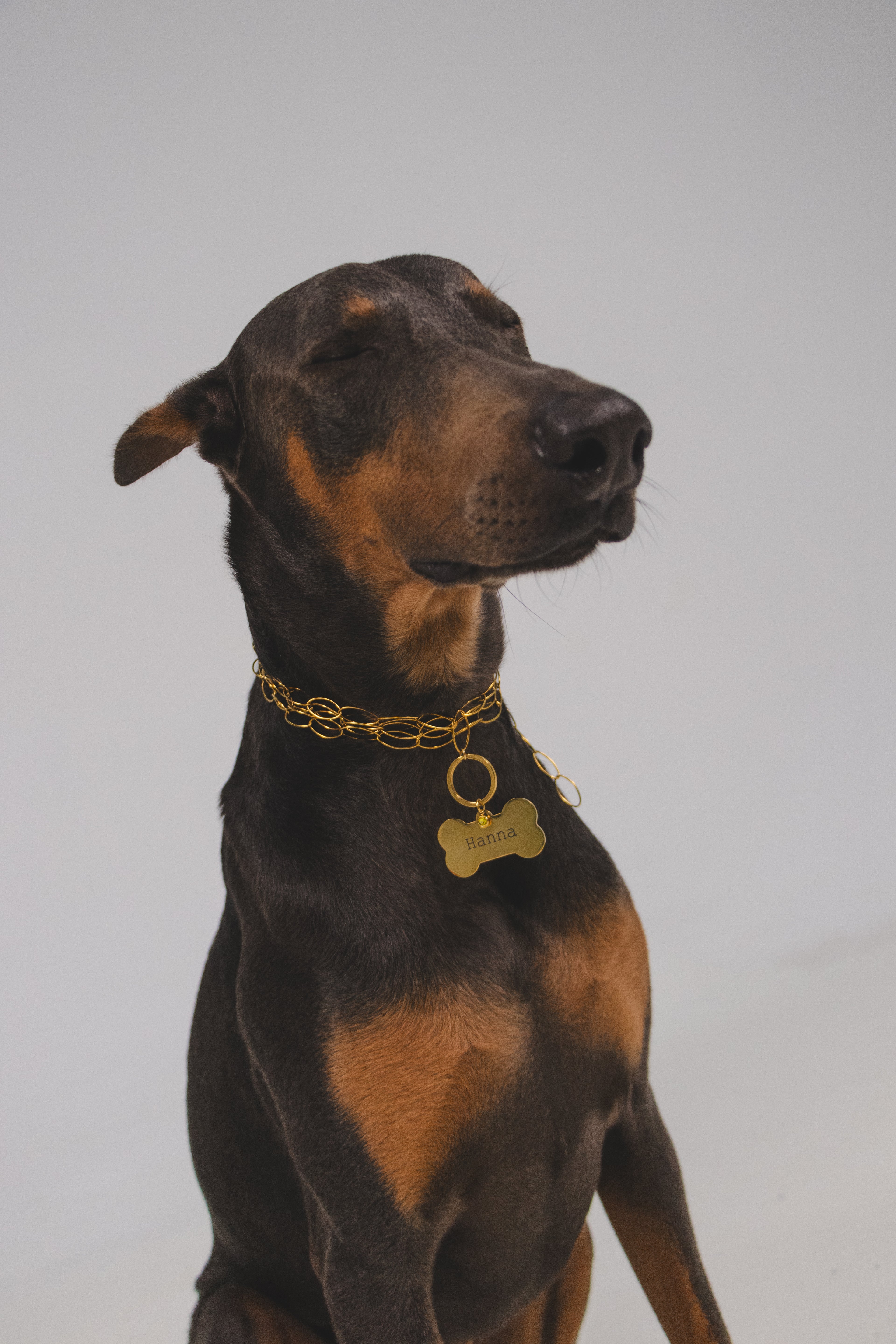 Custom Dog Tag - BIG