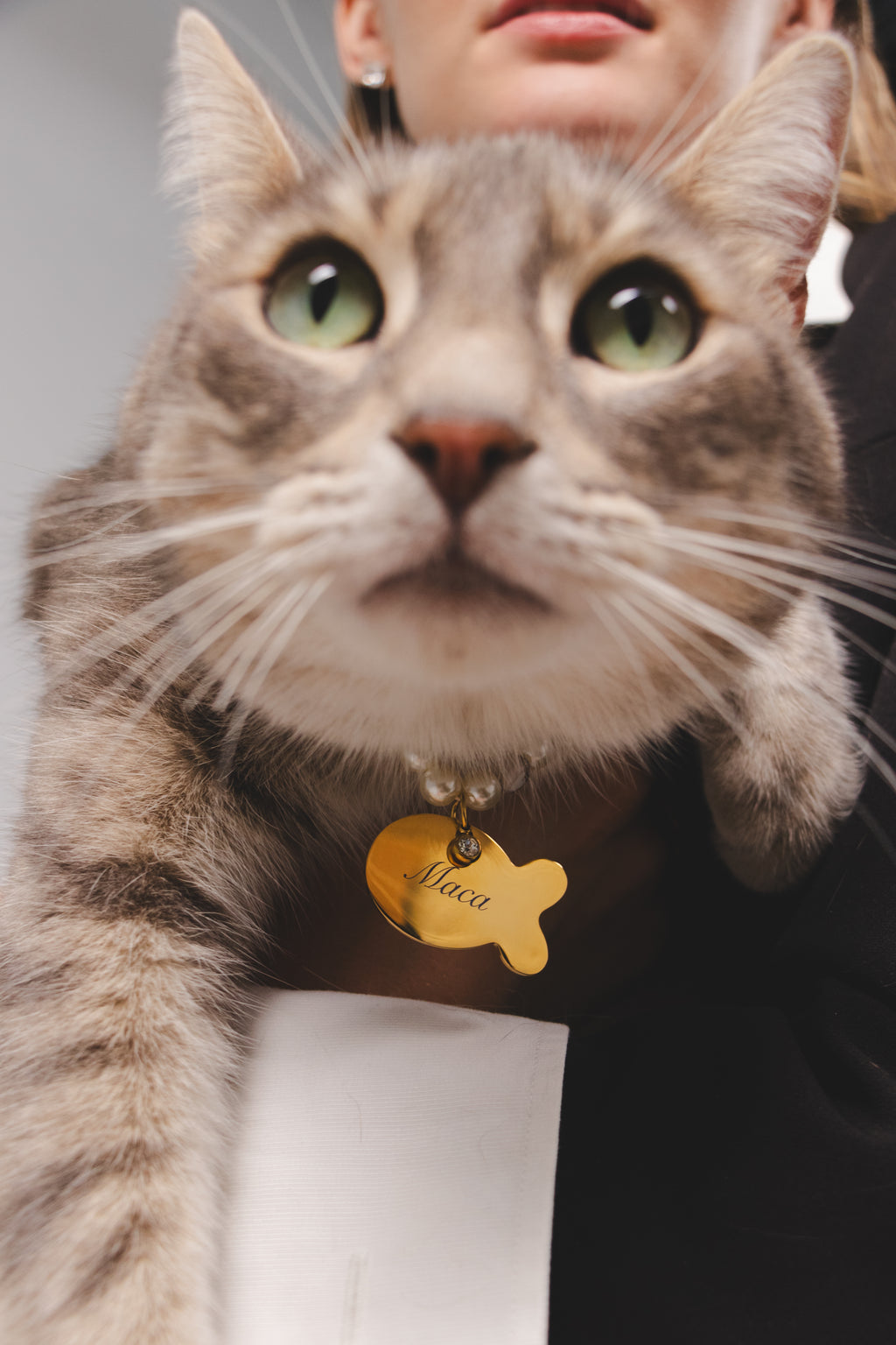 Custom Cat Tag