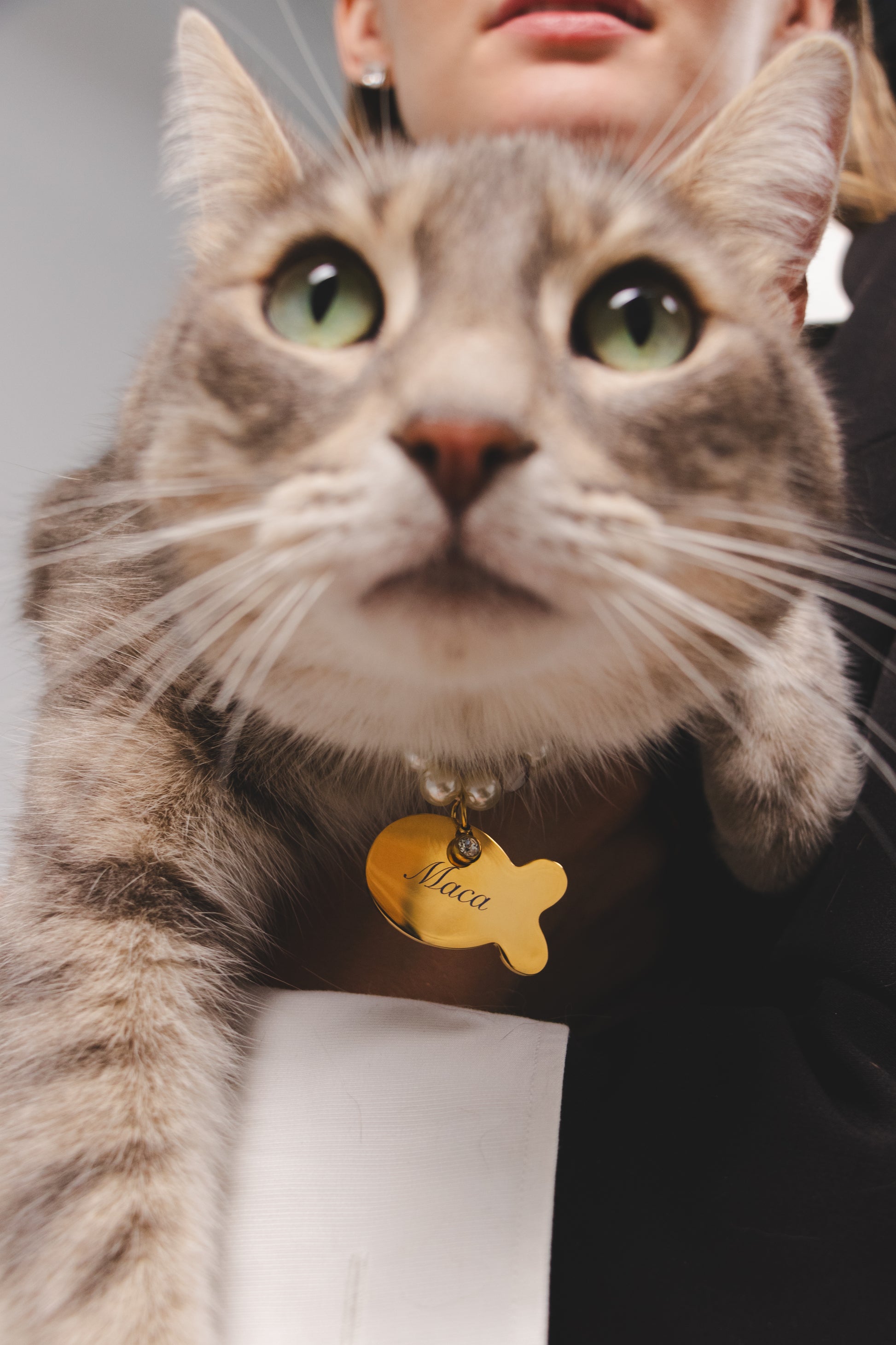 Custom Cat Tag